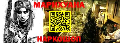 гашик Дмитров