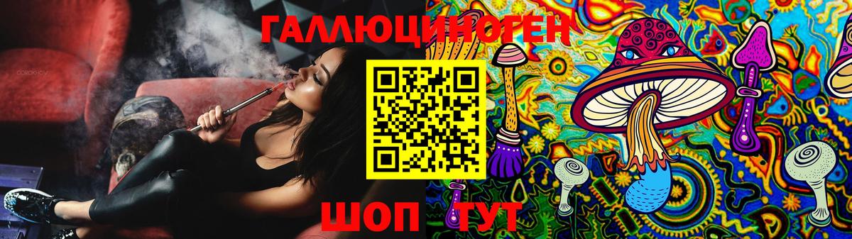 Галлюциногенные грибы Psilocybe  Вход с VPN  Белово 